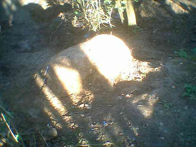 take off in sun